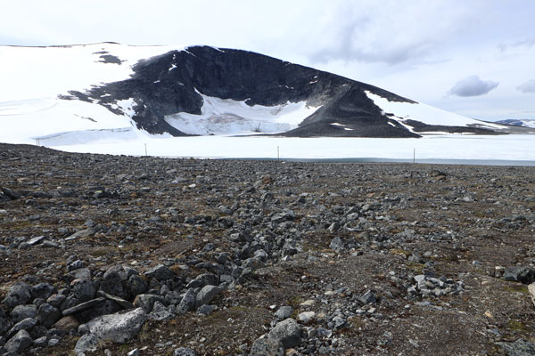 Thumbnail Image 1
